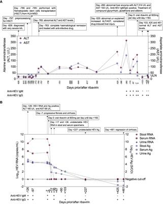 Case Report: Chronic hepatitis E in a hematopoietic stem cell transplant recipient: The first report of hepatitis E virus genotype 4 causing chronic infection in a non-solid organ recipient